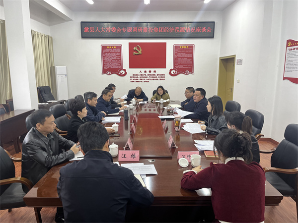 4月7日，縣人大常委會(huì)主任梅代軍帶隊(duì)專題調(diào)研徽投集團(tuán)經(jīng)濟(jì)稅源情況，集團(tuán)洪董、葉總、方總參加調(diào)研座談。.jpg