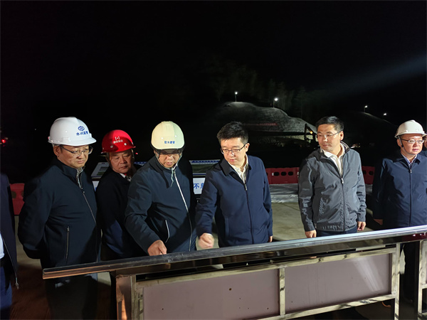 10月31日，汪凱書記，王奇勇縣長，洪董陪同何毅市長一行督導防洪工程項目.jpg