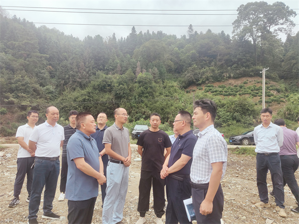 10月1日，洪董，余總陪同汪凱書記一行到紹濂鄉(xiāng)清溪村調(diào)研.jpg