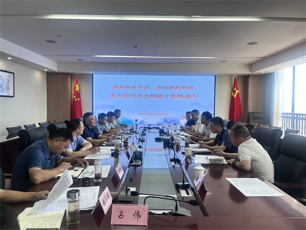 6月18日，歙縣供電公司總經(jīng)理張杰帶隊赴集團就重點項目電力保障工作進行座談交流，洪董、潘總、余總、張總，市政、逸寧等單位參加座談。.jpg