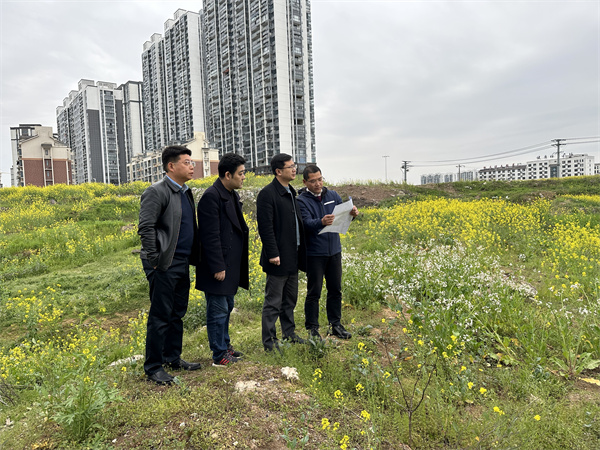 3月29日，張總陪同汪盛縣長調(diào)度揚之學校征地.jpg
